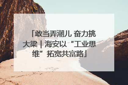 敢当弄潮儿 奋力挑大梁｜海安以“工业思维”拓宽共富路