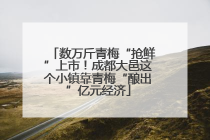数万斤青梅“抢鲜”上市！成都大邑这个小镇靠青梅“酿出”亿元经济