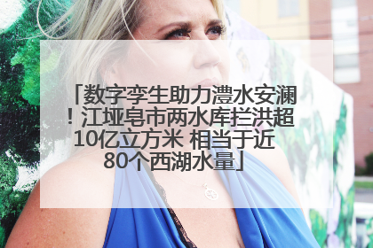 数字孪生助力澧水安澜！江垭皂市两水库拦洪超10亿立方米 相当于近80个西湖水量