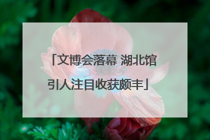 文博会落幕 湖北馆引人注目收获颇丰