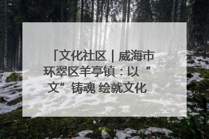 文化社区｜威海市环翠区羊亭镇：以“文”铸魂 绘就文化社区新画卷