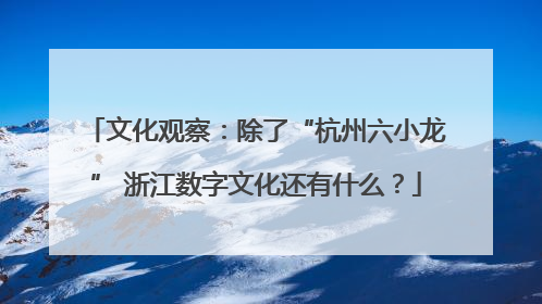 文化观察：除了“杭州六小龙” 浙江数字文化还有什么？
