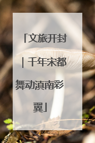 文旅开封｜千年宋都舞动滇南彩翼