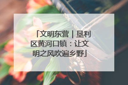 文明东营｜垦利区黄河口镇：让文明之风吹遍乡野