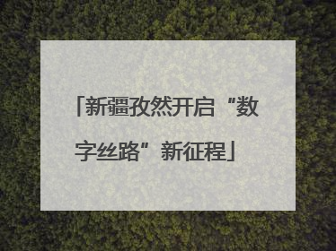 新疆孜然开启“数字丝路”新征程