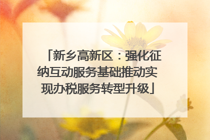 新乡高新区：强化征纳互动服务基础推动实现办税服务转型升级