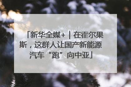 新华全媒+｜在霍尔果斯，这群人让国产新能源汽车“跑”向中亚