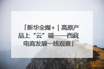 新华全媒+｜高原产品上“云”端——西藏电商发展一线观察