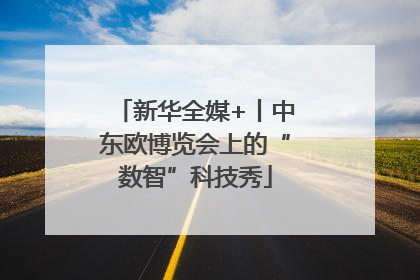 新华全媒+丨中东欧博览会上的“数智”科技秀