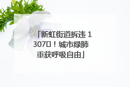 新虹街道拆违 1307㎡！城市绿肺重获呼吸自由