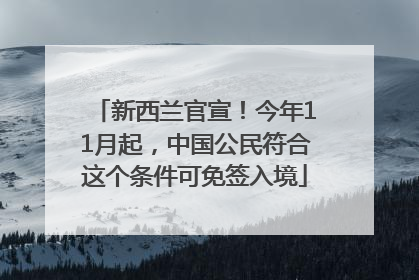 新西兰官宣！今年11月起，中国公民符合这个条件可免签入境
