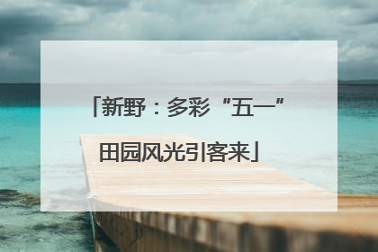 新野：多彩“五一” 田园风光引客来