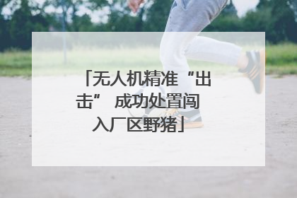 无人机精准“出击” 成功处置闯入厂区野猪