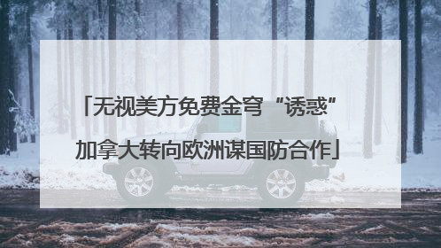 无视美方免费金穹“诱惑” 加拿大转向欧洲谋国防合作