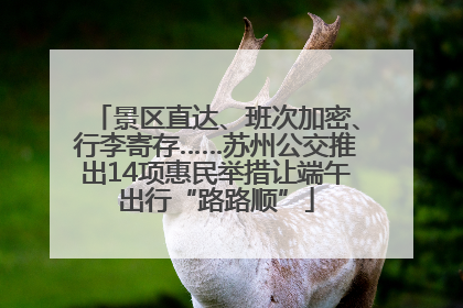 景区直达、班次加密、行李寄存……苏州公交推出14项惠民举措让端午出行“路路顺”