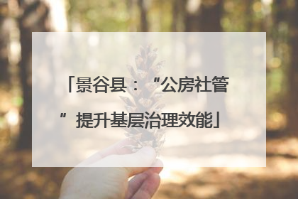 景谷县：“公房社管”提升基层治理效能