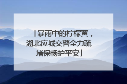 暴雨中的柠檬黄，湖北应城交警全力疏堵保畅护平安
