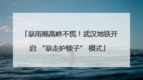 暴雨晚高峰不慌！武汉地铁开启 “暴走护犊子” 模式