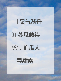暑气渐升江苏瓜熟待客：追瓜人寻甜蜜