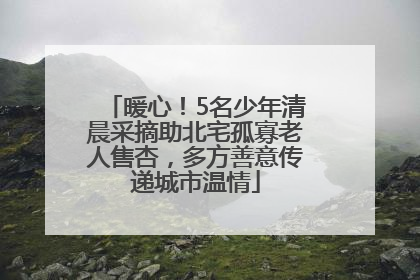 暖心！5名少年清晨采摘助北宅孤寡老人售杏，多方善意传递城市温情