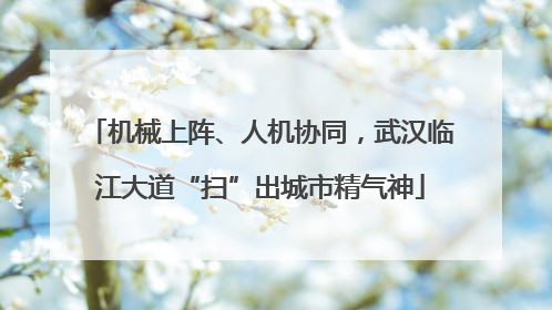 机械上阵、人机协同，武汉临江大道“扫”出城市精气神
