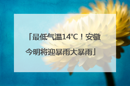 最低气温14℃！安徽今明将迎暴雨大暴雨
