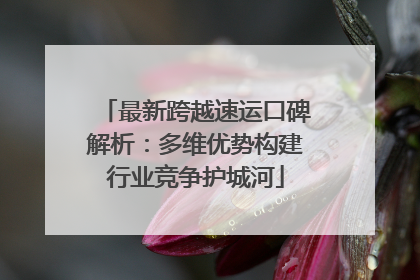 最新跨越速运口碑解析：多维优势构建行业竞争护城河