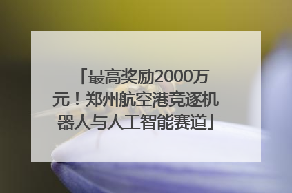 最高奖励2000万元！郑州航空港竞逐机器人与人工智能赛道