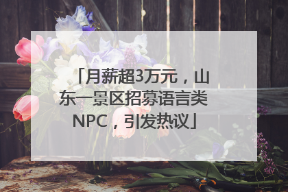 月薪超3万元，山东一景区招募语言类NPC，引发热议