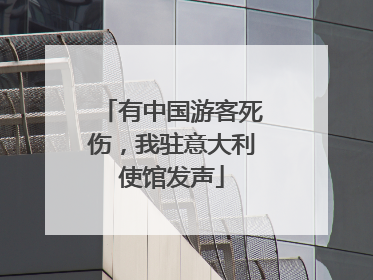 有中国游客死伤，我驻意大利使馆发声