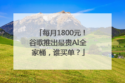 每月1800元！谷歌推出最贵AI全家桶，谁买单？