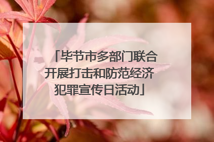 毕节市多部门联合开展打击和防范经济犯罪宣传日活动