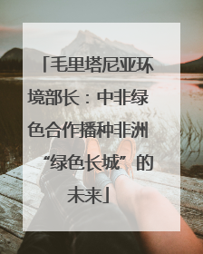毛里塔尼亚环境部长：中非绿色合作播种非洲“绿色长城”的未来