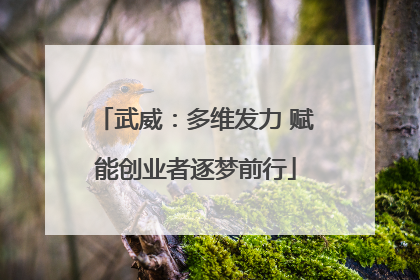 武威：多维发力 赋能创业者逐梦前行