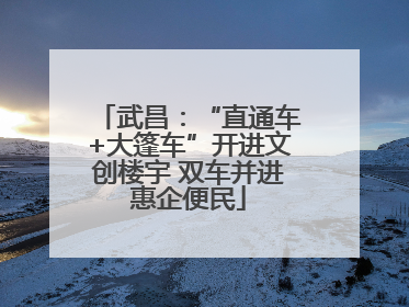 武昌：“直通车+大篷车”开进文创楼宇 双车并进惠企便民