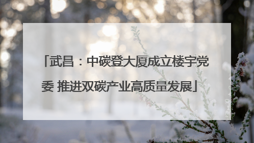 武昌：中碳登大厦成立楼宇党委 推进双碳产业高质量发展