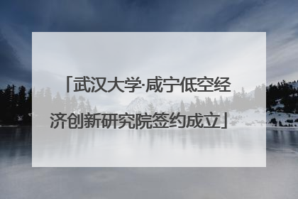 武汉大学·咸宁低空经济创新研究院签约成立