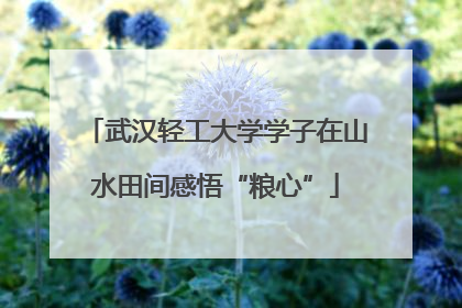 武汉轻工大学学子在山水田间感悟“粮心”