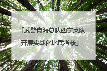 武警青海总队西宁支队开展实战化比武考核