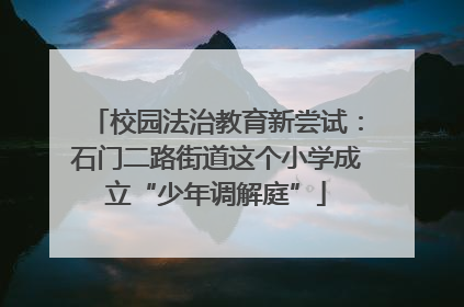 校园法治教育新尝试：石门二路街道这个小学成立“少年调解庭”