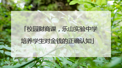校园财商课，乐山实验中学培养学生对金钱的正确认知
