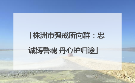 株洲市强戒所向群：忠诚铸警魂 丹心护归途