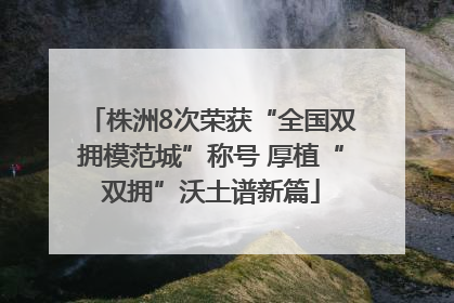 株洲8次荣获“全国双拥模范城”称号 厚植“双拥”沃土谱新篇