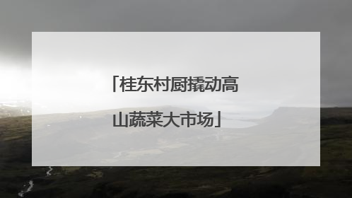 桂东村厨撬动高山蔬菜大市场