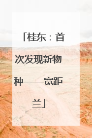 桂东：首次发现新物种——宽距兰