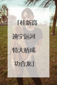 桂新高速宁远河特大桥成功合龙