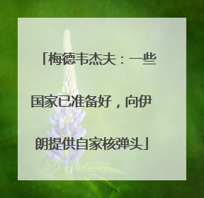 梅德韦杰夫：一些国家已准备好，向伊朗提供自家核弹头