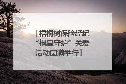 梧桐树保险经纪“桐星守护”关爱活动圆满举行