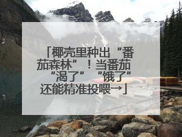 椰壳里种出“番茄森林”！当番茄“渴了”“饿了”还能精准投喂→