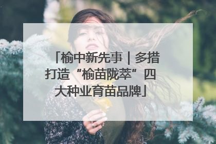 榆中新先事｜多措打造“榆苗陇萃”四大种业育苗品牌